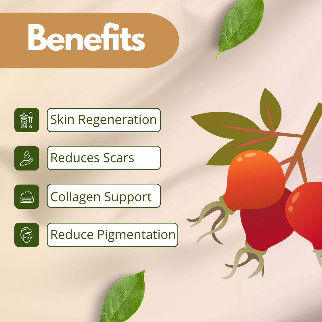 Illustrated benefits of a skincare Rosehip oil with icons: skin regeneration, scar reduction, collagen support, and pigmentation reduction. Vibrant rosehip image.