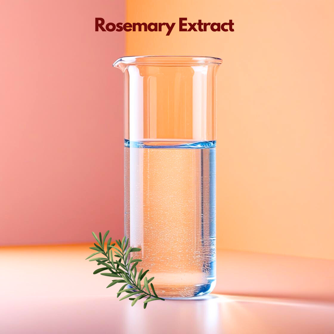 A tall glass beaker containing clear liquid is displayed against a soft peach and coral gradient background labeled “Rosemary Extract,” with fresh rosemary sprigs at the base. This cosmetic grade herbal extract is used in skincare and haircare formulations for antioxidant protection, scalp support and natural product preservation.