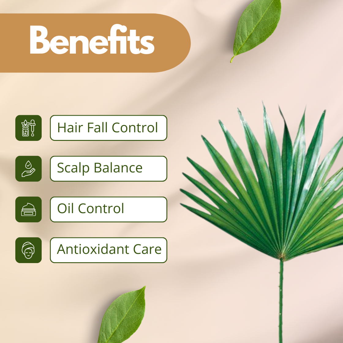 A minimalist graphic for Saw Palmetto Extract showcasing a single, large, fan shaped green palm leaf. The benefits focused on balance are Hair Fall Control, Scalp Balance, Oil Control, and Antioxidant Care. This visual represents the targeted, clarifying power of this botanical extract for oily skin and scalp care.