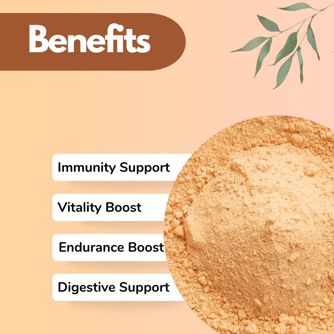 Shatavari Herbal powder benefits infographic showing immunity support, vitality boost, endurance enhancement and digestive support, with a close up of natural beige herbal powder texture, ideal for Ayurvedic wellness formulations, herbal supplements and natural skincare products.