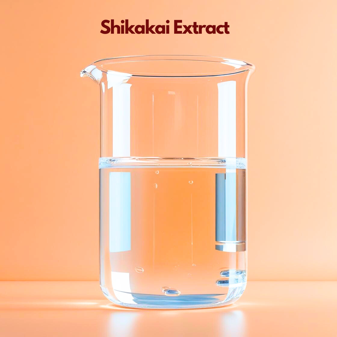  A transparent beaker filled with clear liquid is shown on a peach toned background labeled “Shikakai Extract.” Small herbal ingredients and pods are illustrated at the base. This cosmetic grade botanical extract is traditionally used in haircare formulations for gentle cleansing, scalp soothing and natural conditioning benefits.