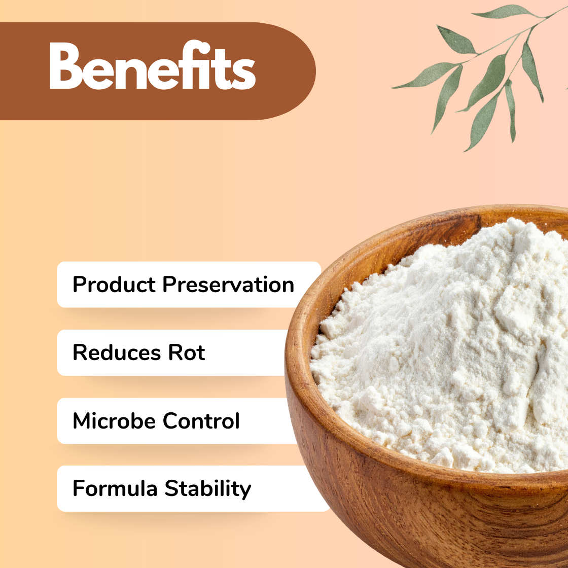A wooden bowl filled with white Sodium Benzoate powder is on a peach background. Text reads "Benefits" with bullet points: "Product Preservation, Reduces Rot, Microbe Control, Formula Stability." Green leaves decorate the top right.