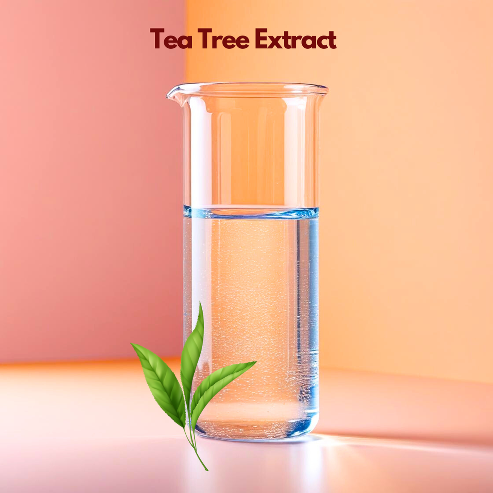 Tea Tree Extract | Melaleuca Alternifolia Leaf | Skincare Ingredient ...