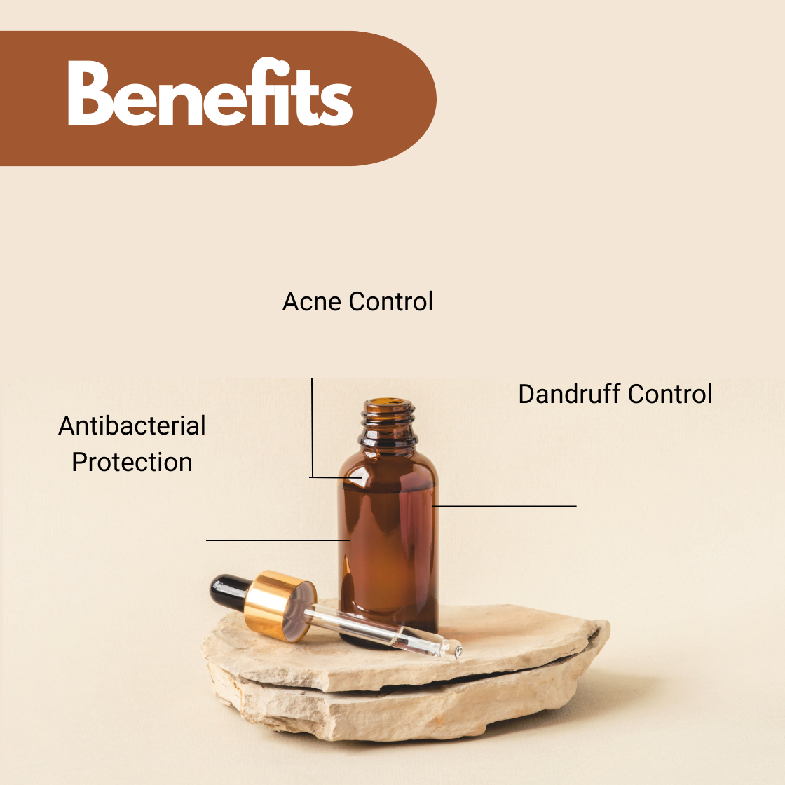 Tea Tree Essential oil antibacterial and acne management benefits graphic with dandruff control support.