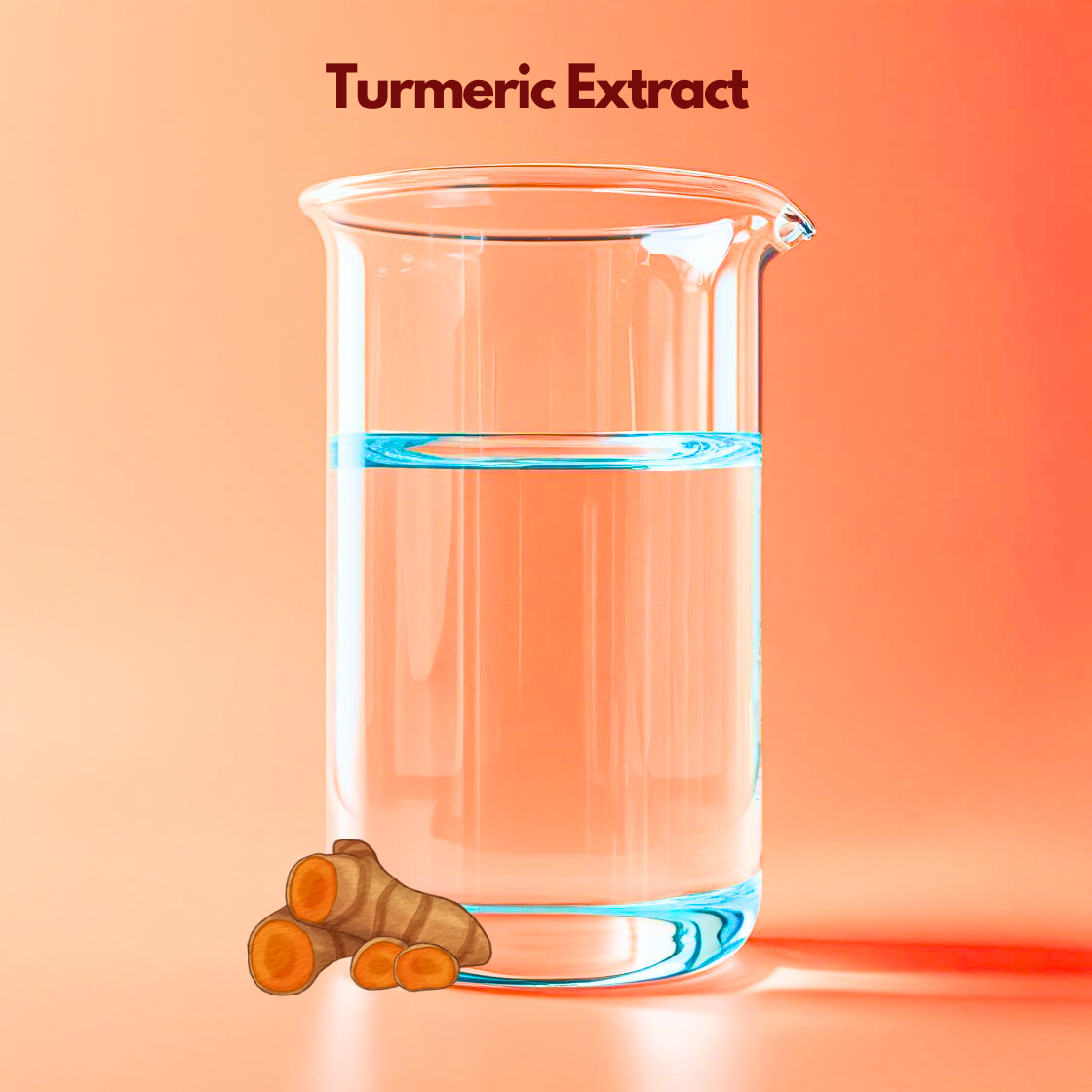  A transparent laboratory beaker filled halfway with clear liquid stands against a coral background labeled “Turmeric Extract,” with sliced turmeric roots illustrated at the base. This cosmetic grade botanical extract is widely used in skincare formulations for brightening support, antioxidant benefits and enhancing natural glow in cosmetic products.