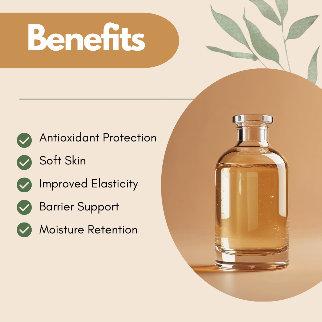 A beige and brown graphic highlights skincare benefits. Text on the left lists Antioxidant Protection, Soft Skin, Improved Elasticity, Barrier Support and Moisture Retention with checkmarks. A glass bottle with liquid is on the right. Leaves decorate the top corner, creating a natural, soothing tone.