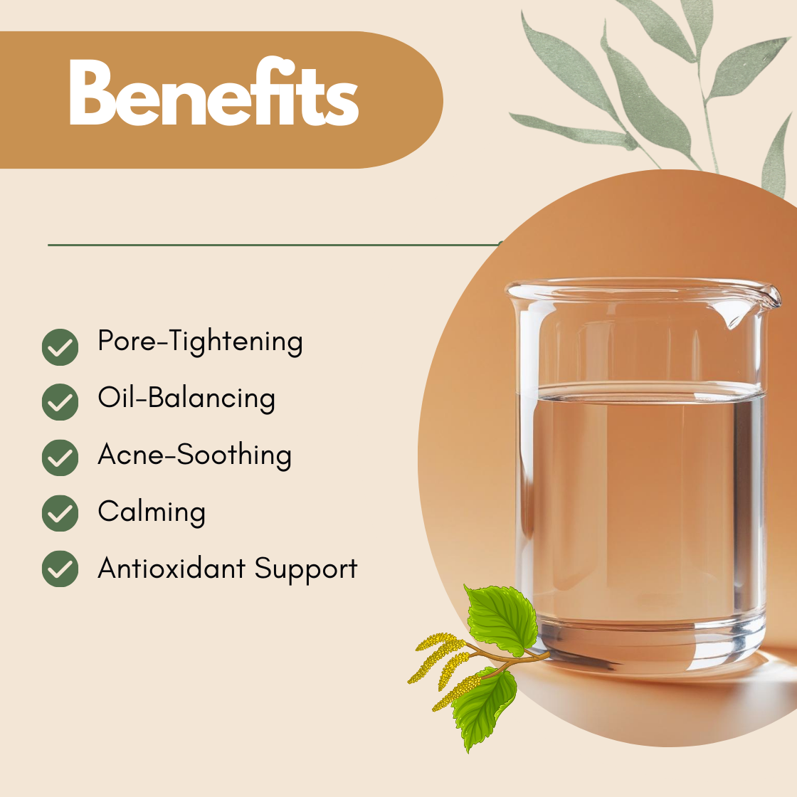 Benefits layout featuring a beaker and botanical illustration. The text reads Pore Tightening, Oil Balancing, Acne Soothing, Calming, Antioxidant Support. This witch hazel hydrosol benefits image highlights its natural astringent properties as a clarifying facial toner.