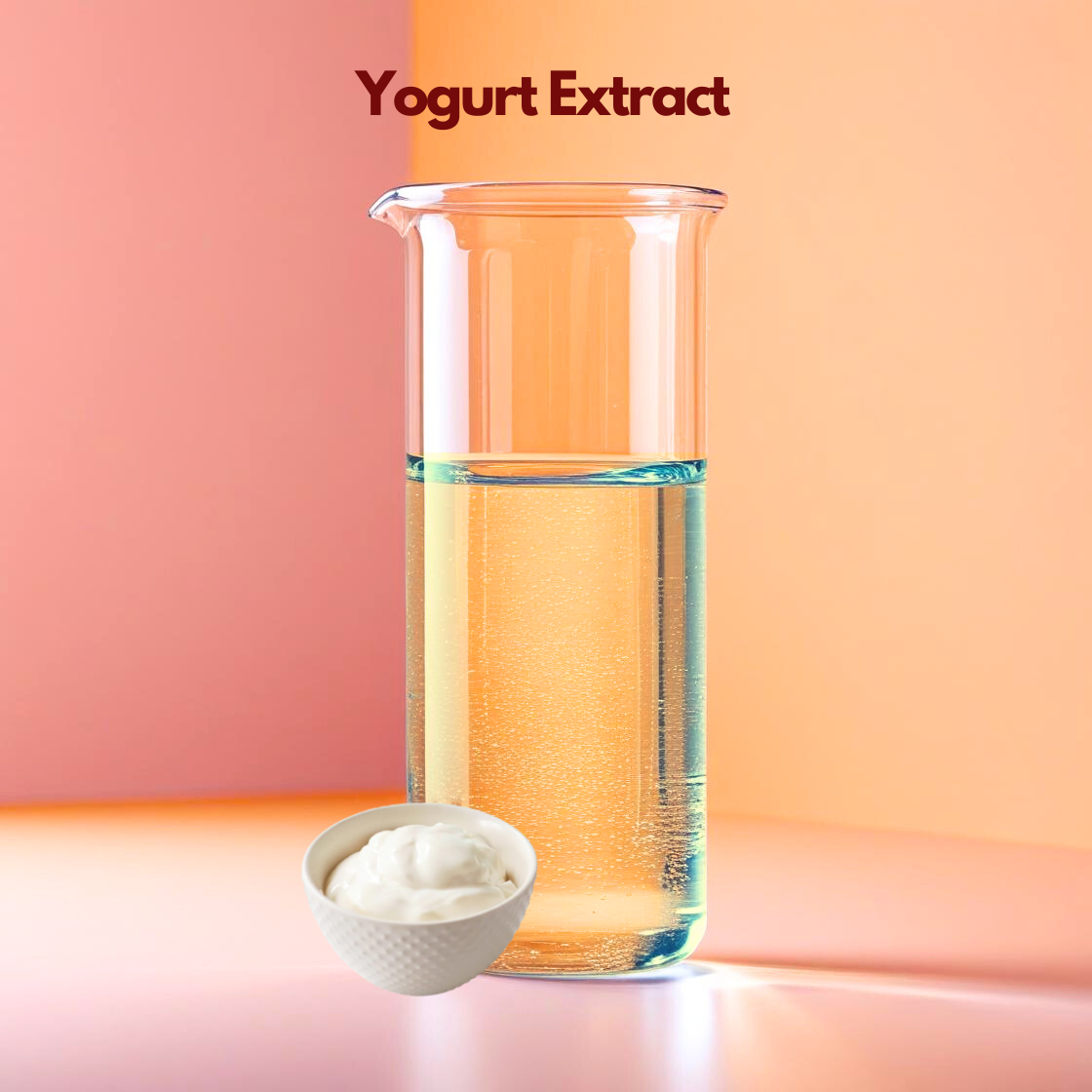 A soft toned graphic for "Yogurt Extract" with the product name displayed in dark maroon at the top. The image showcases a small, white ceramic bowl filled with thick, creamy white yogurt that has a smooth, swirled surface. The entire setup is placed on a clean beige background.