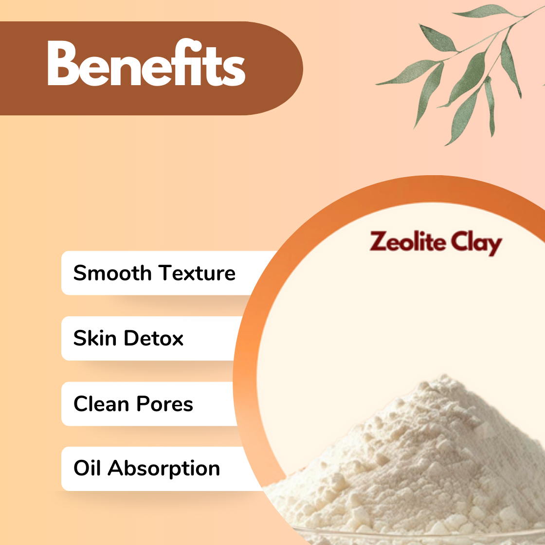 Benefits of Zeolite Clay displayed on a peach background with a leaf illustration. Listed benefits: Smooth Texture, Skin Detox, Clean Pores, Oil Absorption. Image of clay powder in bottom right.
